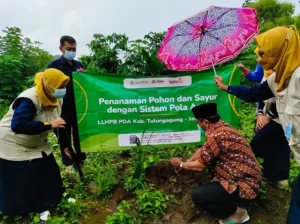 Program Penanaman Pohon, Ketua PDM Tulungagung Rela Berhujan-hujan