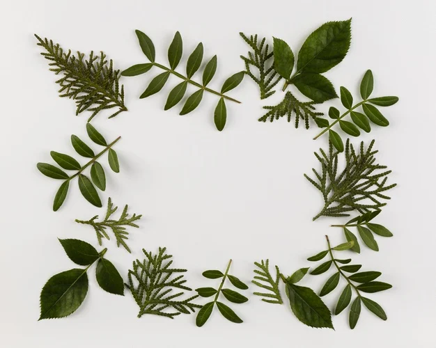 Ramadhan Ini Jalanku Menuju Surga