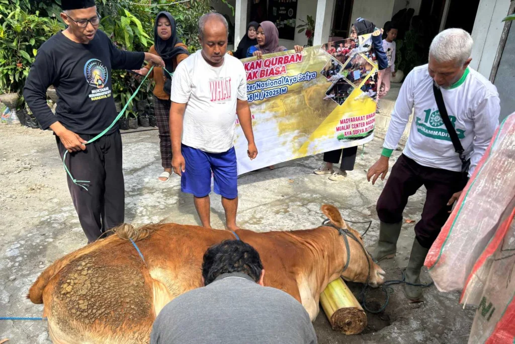 LDK PDM Kota Blitar dan MCN Aya Sofya Berkurban untuk Mualaf: Wujud Dakwah yang Mencerahkan dan Merangkul