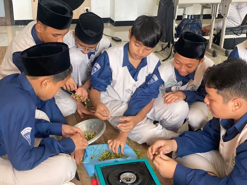 Kreatif! Santri PPI AMF Ciptakan Teh Putri Malu untuk Atasi Insomnia