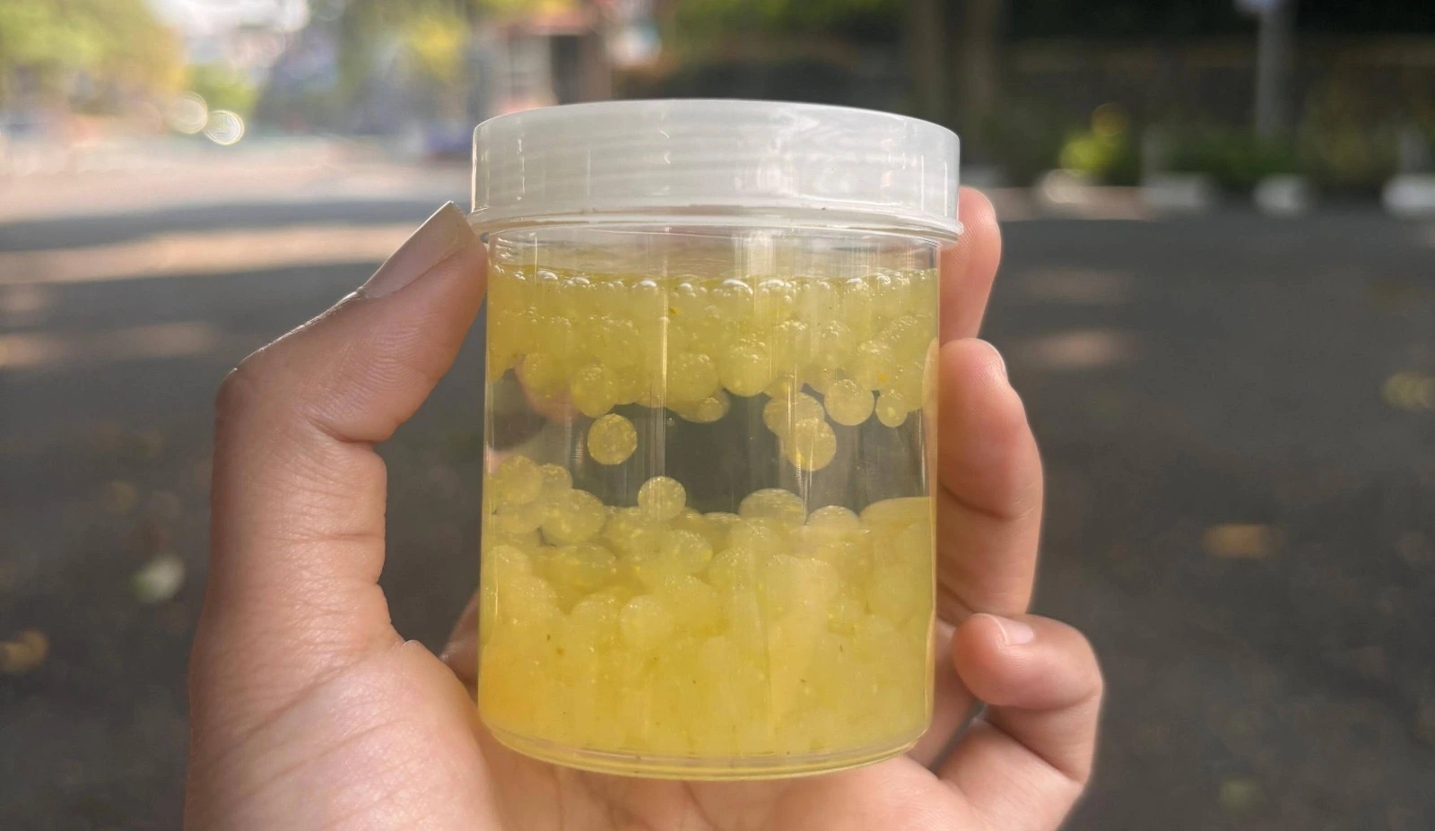 Karya Ilmiah Santri PPI AMF Tembus Ajang Internasional, Raih Emas dan Perak di I2ASPO