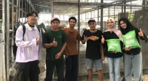 KL Lazismu Umsida Olah Sampah Organik Menjadi Pupuk Kompos, Dukung Green Campus dan Kemanusiaan