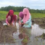 Sawah sebagai Sekolah Kehidupan: Tanamkan Rasa Syukur pada Anak lewat Tadabbur Alam