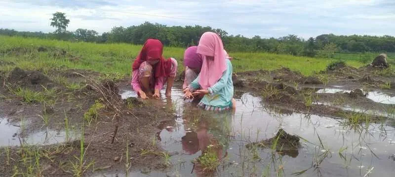 Sawah sebagai Sekolah Kehidupan: Tanamkan Rasa Syukur pada Anak lewat Tadabbur Alam