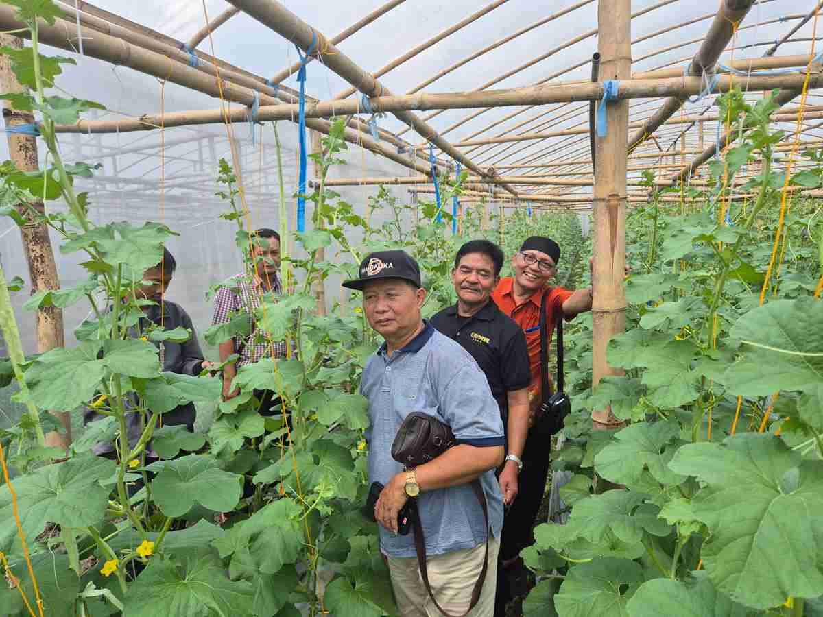 PDM Kabupaten Madiun Belajar ke Jombang, Mantapkan Langkah Penguatan Ekonomi Berbasis Greenhouse