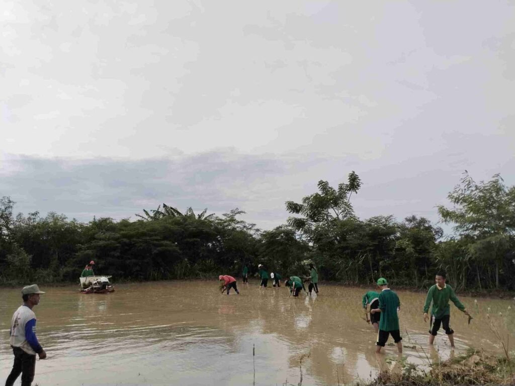 Belajar dari Lumpur: Aksi Nandur Siswa SMK Muhammadiyah 5 Gresik untuk Ketahanan Pangan