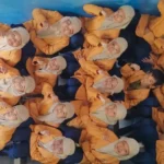 IPM Kids SD Mugres Kampus B Mulai Masa Kepengurusan Baru