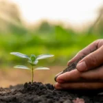 Khotbah Jumat: Merawat Alam, Menjaga Amanah Rasulullah