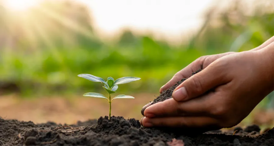 Khotbah Jumat: Merawat Alam, Menjaga Amanah Rasulullah