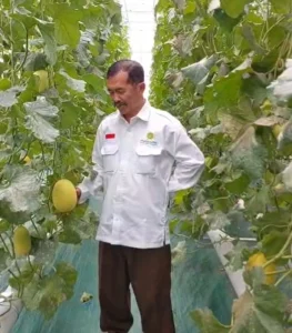 Profesor Penggerak UMM Sulap Lahan Desa Sumbergedang Jadi Sentra Smart Farming