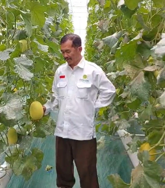 Profesor Penggerak UMM Sulap Lahan Desa Sumbergedang Jadi Sentra Smart Farming