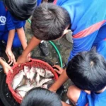 Belajar Kearifan Lokal, Siswa SD Muhammadiyah 4 Zamzam Ikuti Kegiatan PengalamanMu di Kampung Ikan Asap