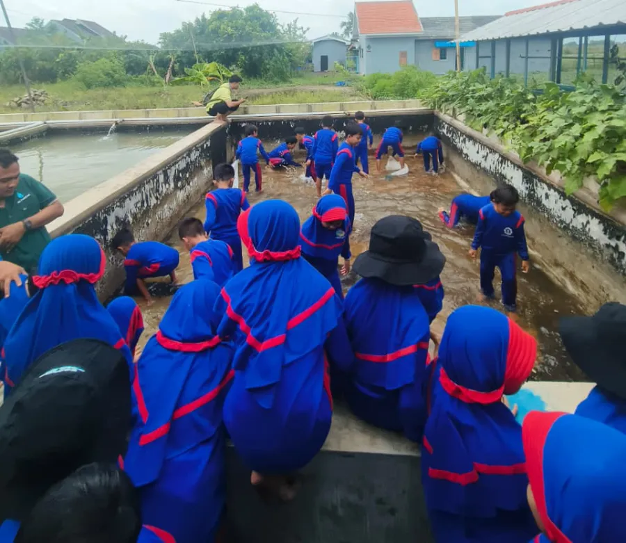Petualangan Cilik SD Zamzam: Dari Praktik Mencangkok Hingga Panen Lele di Tanggulangin