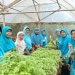 Kunjungan PDA Kota Surabaya ke Kebun Gizi dan Rumah Bibit BSA Sapa Tresna 