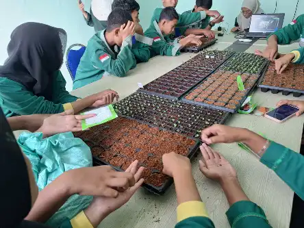 SMK Muhammadiyah 5 Gresik Berpartisipasi dalam Kegiatan SIKAP Serentak Se-Jawa Timur melalui Penyemaian Bibit