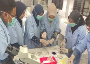 Dosen Prodi Biologi FKIP UMM Latih Guru IPA SMP Muhammadiyah KWB Membuat Preparat Histologi