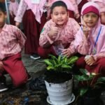 Langkah Kecil, Dampak Besar: Siswa SD Muhammadiyah 24 Surabaya Antusias Praktik Menanam di Sekolah
