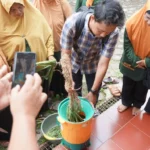 Mesin Pencacah Hijauan Dihadirkan, Dosen Unmuh Jember Perkuat Kemandirian Ekonomi Hijau PRA Karangtengah