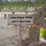 Transformasi Tanah Wakaf: Menjadi Lumbung Pangan Mandiri Santri PPEM Benjeng