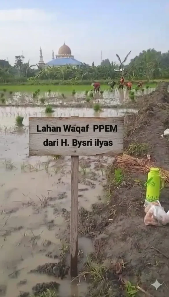 Transformasi Tanah Wakaf: Menjadi Lumbung Pangan Mandiri Santri PPEM Benjeng