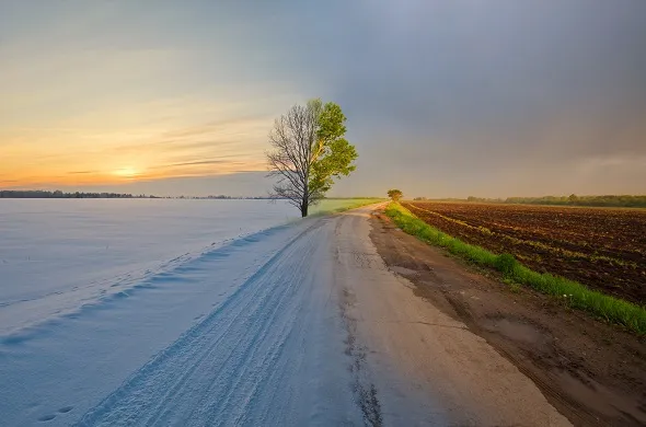5 Peta Menuju Falah: Rahasia Sukses Dunia hingga Akhirat
