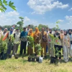 Green Action, Mahasiswa KKN STIKES Muhammadiyah Bojonegoro Tanam Bibit Pohon di Jatiblimbing