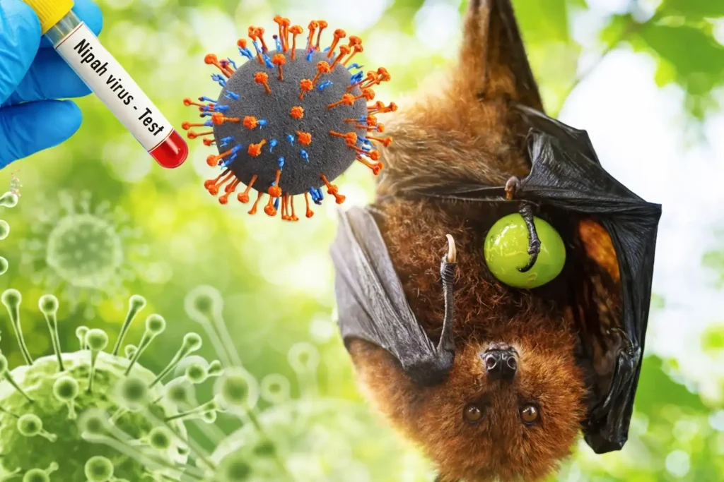 Waspada Virus Nipah, Dosen Umsura Ungkap Jalur Penularan dan Strategi Pencegahan