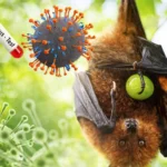 Waspada Virus Nipah, Dosen Umsura Ungkap Jalur Penularan dan Strategi Pencegahan