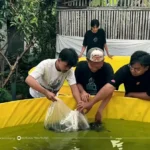 Mahasiswa UMM Kenalkan Bioflok, Solusi Budidaya di Lahan Terbatas