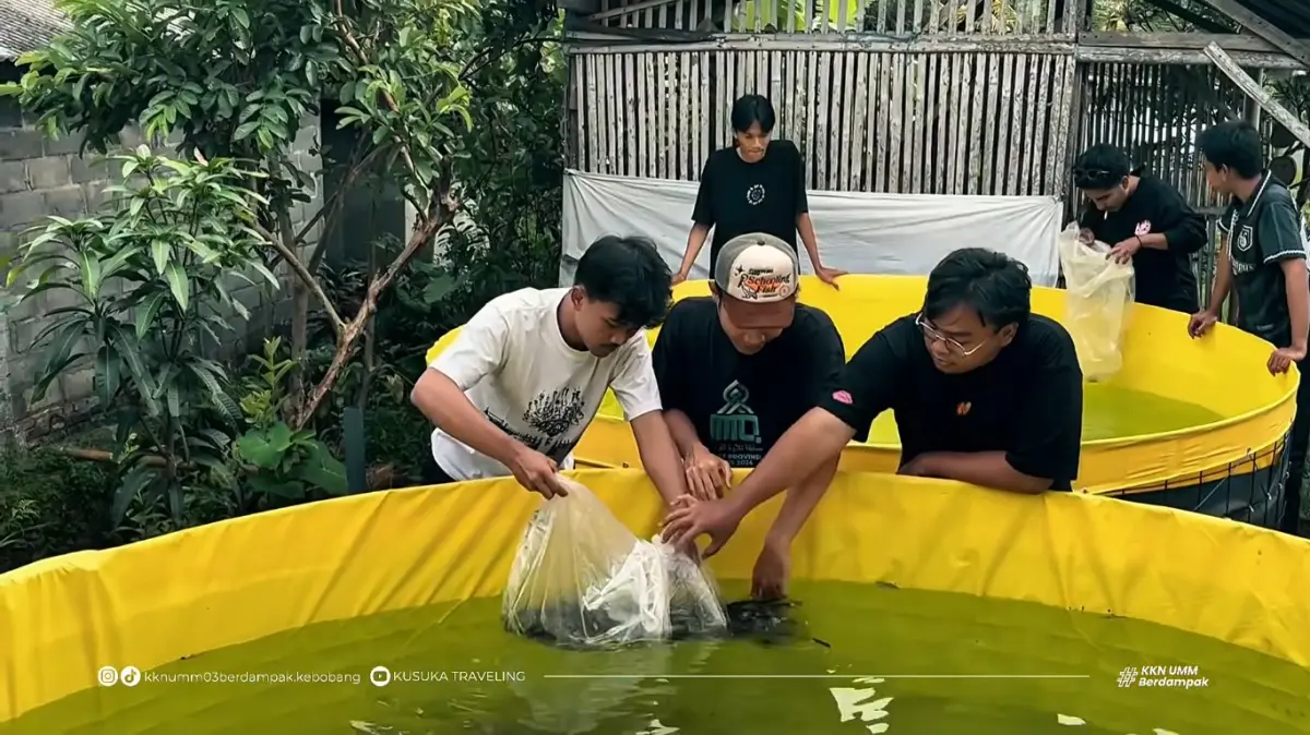 Mahasiswa UMM Kenalkan Bioflok, Solusi Budidaya di Lahan Terbatas
