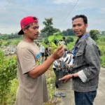 Hijaukan Lingkungan Desa, Mahasiswa Pengabdian Masyarakat UMG Lakukan Penanaman Bibit Pohon