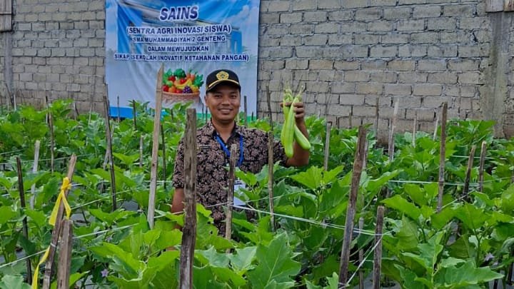 Program SIKAP: Panen Perdana SMA Muha Genteng, Sayuran Dibagikan untuk Warga