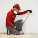 Kapan Harus Memanggil Jasa Anti Rayap ke Rumah? Kenali Tanda-Tandanya!