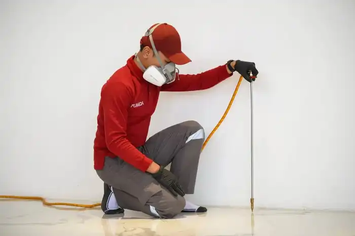 Kapan Harus Memanggil Jasa Anti Rayap ke Rumah? Kenali Tanda-Tandanya!