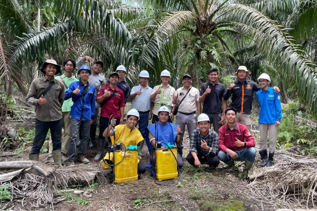 Mahasiswa UMM Terjun ke Industri Sawit, Siap Kerja Sejak Kuliah