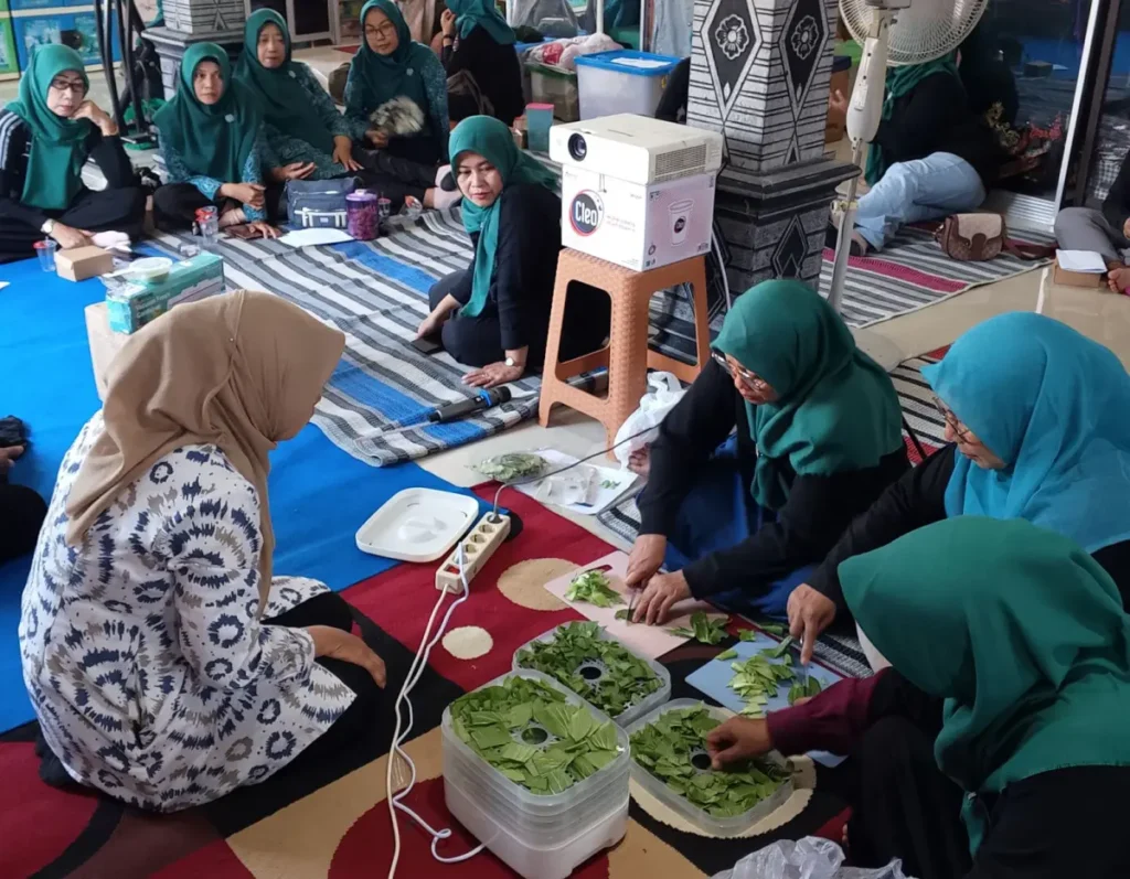 Inovasi Tepung Pakcoy Umsida, Ubah Sayur Jadi Produk Bernilai Tinggi