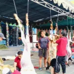 Kurban, Sembelih Sendiri atau Nitip?