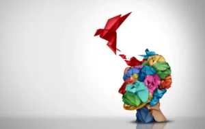 Prefrontal Cortex: Bagian Kecil di Otak yang Diam-Diam Menentukan Arah Hidupmu