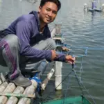 Lulusan CoE UMM, Giyang Sukses Bangun Tambak Udang Mandiri