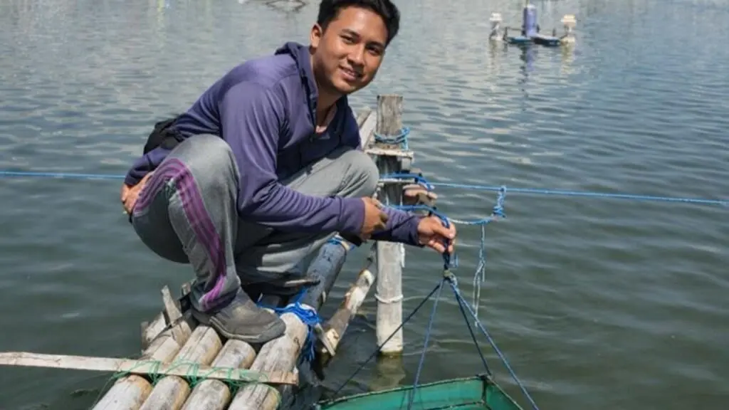 Lulusan CoE UMM, Giyang Sukses Bangun Tambak Udang Mandiri