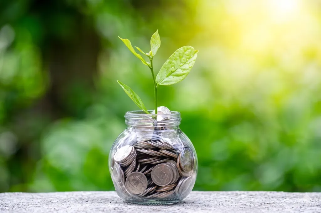 Jangan Tertipu Dunia, Harta Halal Kunci Ketenangan dan Keberkahan Hidup