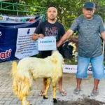 Dari 6 Sapi dan 5 Kambing, KLL Lazismu RSMAD Salurkan Kurban kepada Berbagai Penerima Manfaat