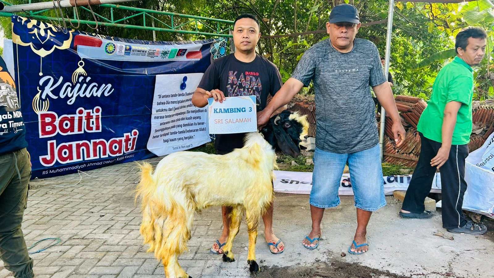 Dari 6 Sapi dan 5 Kambing, KLL Lazismu RSMAD Salurkan Kurban kepada Berbagai Penerima Manfaat