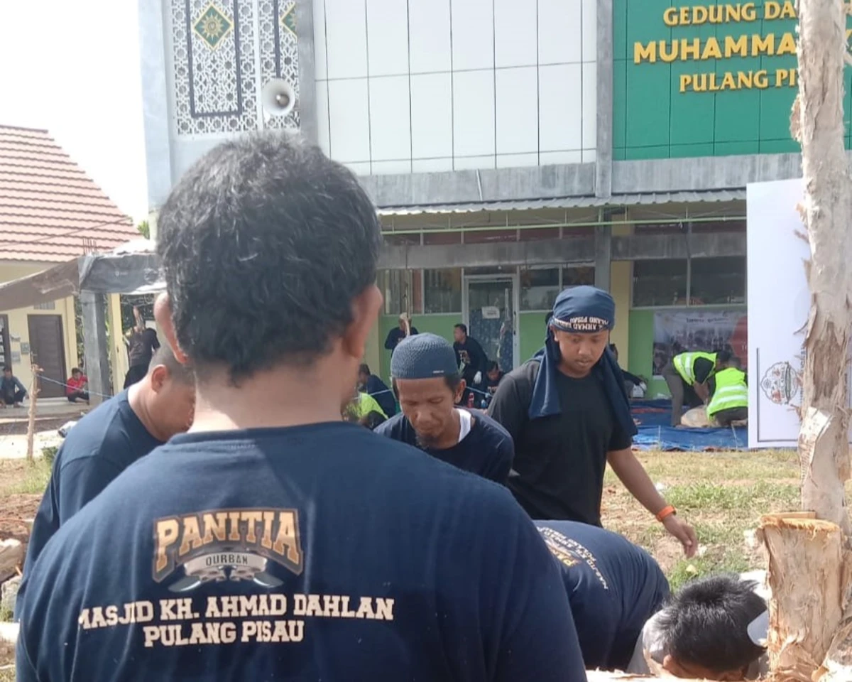 Juleha Dampingi Penyembelihan Kurban di Masjid KH Ahmad Dahlan