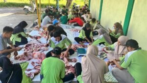 Semangat Gotong Royong Warnai Pengolahan Daging Kurban di SMK Muhammadiyah 5 Gresik