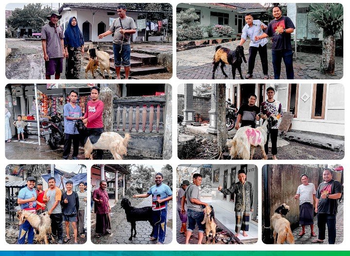 SMA Muha Genteng Salurkan 15 Ekor Kambing Untuk Sejumlah Mushala Terdekat
