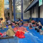 Sivitas Akademika Umsida Gelar Kurban dan Distribusi Daging untuk Masyarakat