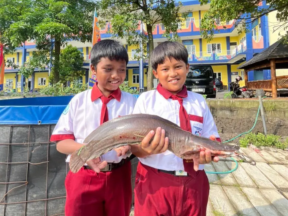 Panen Lele, Panen Keterampilan: Kreativitas Siswa SD Muhammadiyah 4 Zamzam Mengolah Nugget Sehat