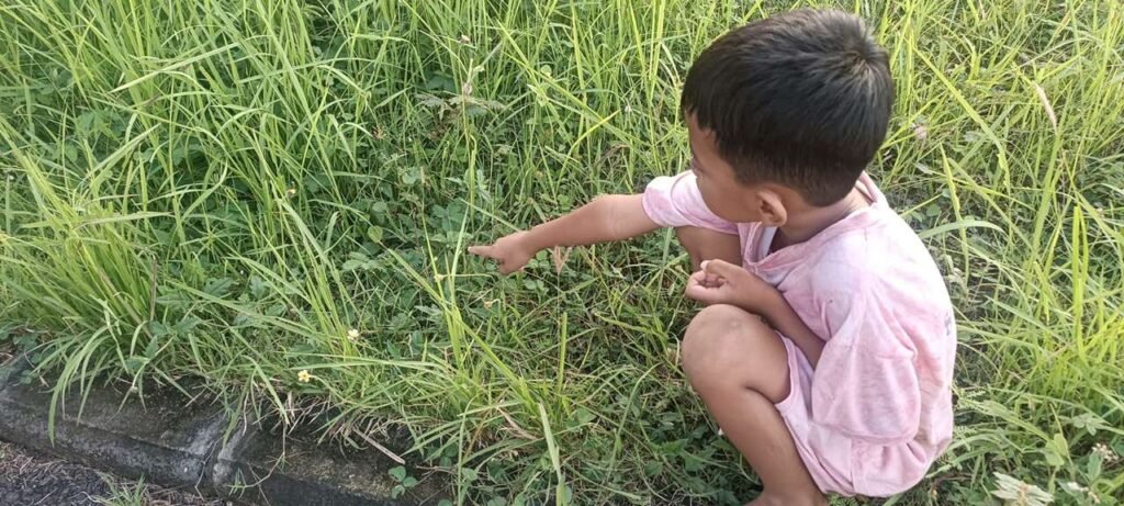 Anak Bukan Putri Malu: Kita yang Sering Memaksa Mereka Menguncup