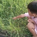 Anak Bukan Putri Malu: Kita yang Sering Memaksa Mereka Menguncup
